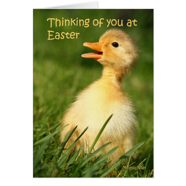 Denk aan je bij het rooster (Voorkant)