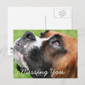 Denk aan je Boxer - Vindy Briefkaart (Voorkant / Achterkant)