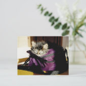 Denk aan je brede Awake Kitten in Paarse tas Briefkaart (Staand voorkant)