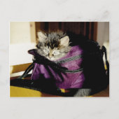 Denk aan je brede Awake Kitten in Paarse tas Briefkaart (Voorkant)