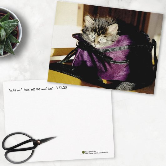 Denk aan je brede Awake Kitten in Paarse tas Briefkaart