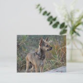 Denk aan je Briefkaart (Staand voorkant)