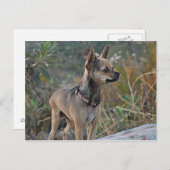 Denk aan je Briefkaart (Voorkant / Achterkant)