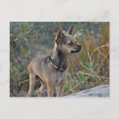 Denk aan je Briefkaart (Voorkant)