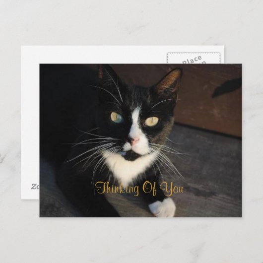 Denk aan je Briefkaart (Voorkant / Achterkant)