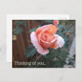 Denk aan je Briefkaart (Voorkant / Achterkant)