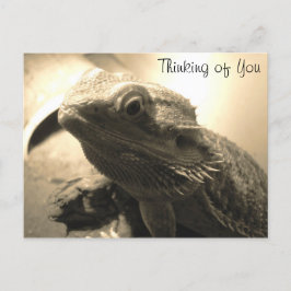 Denk aan je Briefkaart