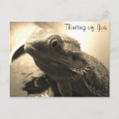 Denk aan je Briefkaart (Voorkant)