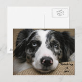 Denk aan je Briefkaart (Voorkant / Achterkant)