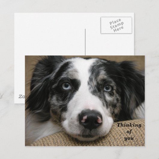 Denk aan je Briefkaart (Voorkant / Achterkant)