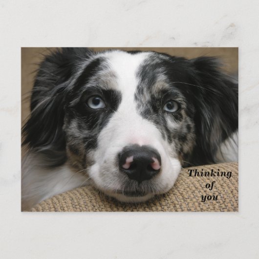 Denk aan je Briefkaart (Voorkant)