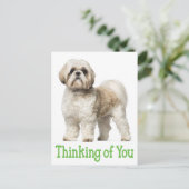 Denk aan je Briefkaart van Tzu Puppy Dog (Staand voorkant)