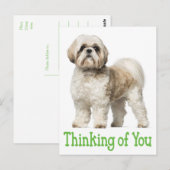 Denk aan je Briefkaart van Tzu Puppy Dog (Voorkant / Achterkant)