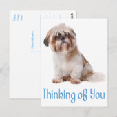 Denk aan je Briefkaart van Tzu Puppy Dog (Voorkant / Achterkant)