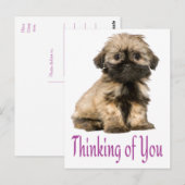 Denk aan je Briefkaart van Tzu Puppy Dog (Voorkant / Achterkant)