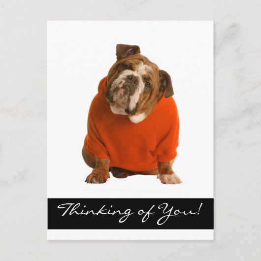 Denk aan je Bulldog Puppy Dog Greeting Poscard Briefkaart (Voorkant)
