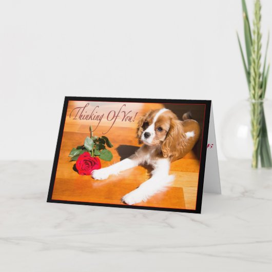Denk aan je Cavalier King Charles Spaniel Pup Kaart (Voorkant)