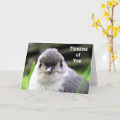 Denk aan je creditcard kaart (Gele Bloem)