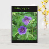 Denk aan je creditcard kaart (Gele Bloem)