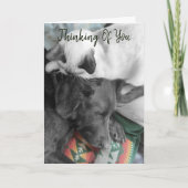 Denk aan je Cute Kitten op Labradors hoofd Kaart (Voorkant)