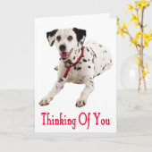 Denk aan je Dalmatiaans Wenskaart voor puppy Dog Kaart (Gele Bloem)