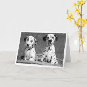 Denk aan je Dalmatische Hallo Kaart (Gele Bloem)