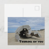 Denk aan je driftwood in de Stille Oceaan Briefkaart (Voorkant / Achterkant)