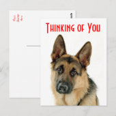 Denk aan je Duitse Briefkaart van schapenbeslag pa (Voorkant / Achterkant)