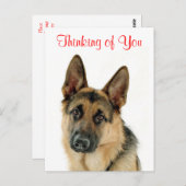 Denk aan je Duitse Briefkaart van Shepherd Puppy D (Voorkant / Achterkant)