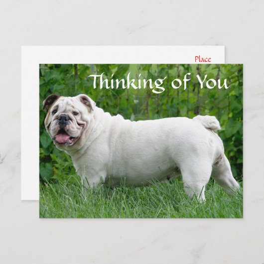 Denk aan je Engelse Bulldog Puppy Dog Briefkaart (Voorkant / Achterkant)