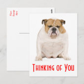 Denk aan je Engelse Bulldog Puppy Dog Briefkaart (Voorkant / Achterkant)