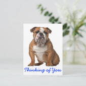 Denk aan je Engelse Bulldog Puppy Dog Briefkaart (Staand voorkant)
