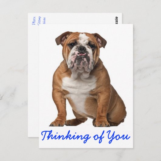 Denk aan je Engelse Bulldog Puppy Dog Briefkaart (Voorkant / Achterkant)