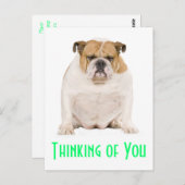 Denk aan je Engelse Bulldog Puppy Dog Briefkaart (Voorkant / Achterkant)