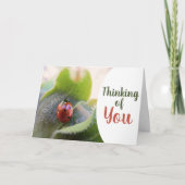"Denk aan je" enthousiaste Kaart van Ladybug (Voorkant)