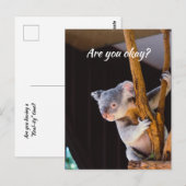 Denk aan je Fun Koala... laat me weten dat je in o Briefkaart (Voorkant / Achterkant)
