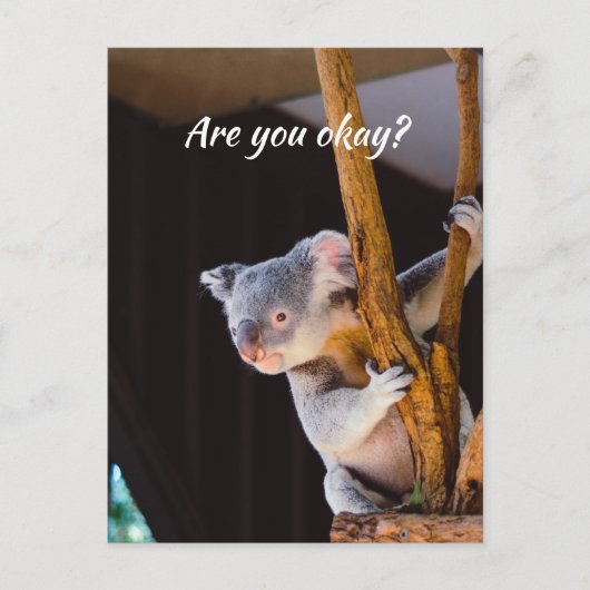 Denk aan je Fun Koala... laat me weten dat je in o Briefkaart (Voorkant)