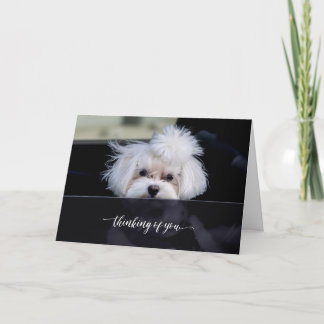 Denk aan je gevouwen kaart