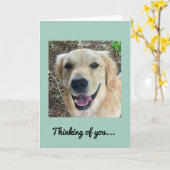 Denk aan je - Golden Retriever Card Kaart (Gele Bloem)