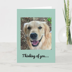Denk aan je - Golden Retriever Card Kaart