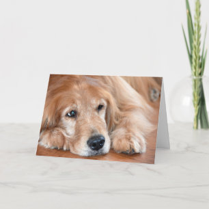 Denk aan je Golden Retriever Kaart