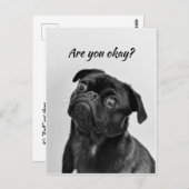 Denk aan je grappige hond, laat me weten dat je in briefkaart (Voorkant / Achterkant)