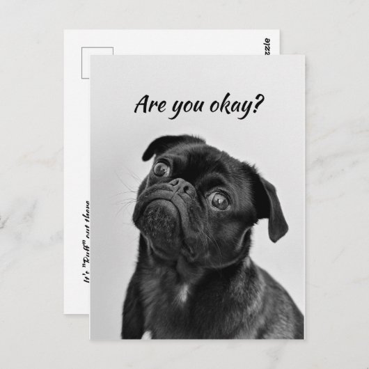 Denk aan je grappige hond, laat me weten dat je in briefkaart (Voorkant / Achterkant)