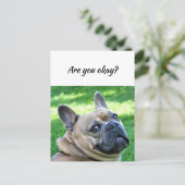 Denk aan je grappige hond, laat me weten dat je in briefkaart (Staand voorkant)