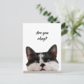 Denk aan je grappige kat, laat me weten dat je in  briefkaart (Staand voorkant)