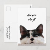 Denk aan je grappige kat, laat me weten dat je in  briefkaart (Voorkant / Achterkant)