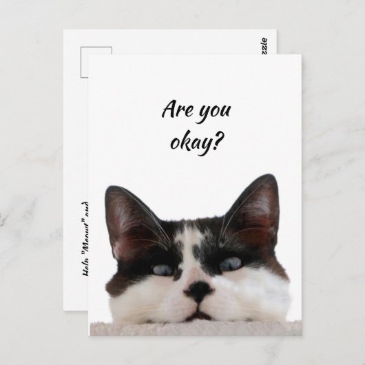 Denk aan je grappige kat, laat me weten dat je in  briefkaart (Voorkant / Achterkant)