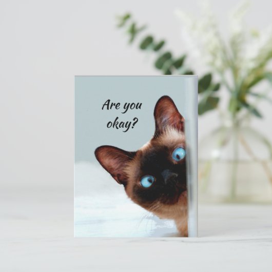 Denk aan je grappige kat, laat me weten dat je in  briefkaart (Staand voorkant)