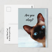 Denk aan je grappige kat, laat me weten dat je in  briefkaart (Voorkant / Achterkant)