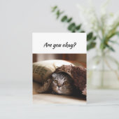 Denk aan je grappige kat, laat me weten dat je in  briefkaart (Staand voorkant)